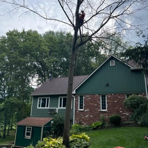 308833549_1077741896264876_5141702007758930111_n