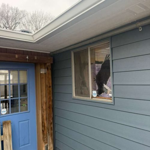 WhatsApp Image 2025-12-16 at 11.13.55 AM (4)